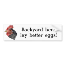 Backyard hens lay better eggs! - Bumper sticker bumper stickers