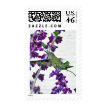 Backyard Hummingbird Postage Stamps