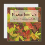 Backyard Leaves Thanksgiving Invitation invitations