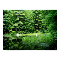 Backyard Pond posters by dduhaime55 Backyard Pond posters