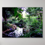 Backyard Pond Print