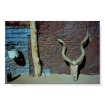 Backyard posters