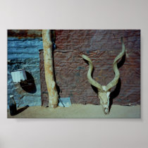 Backyard Poster