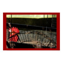 Backyard Rooster posters