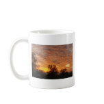 Backyard sunset #2 coffee mugs