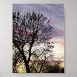 Backyard Sunset Posters