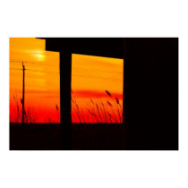 Backyard Sunset Poster posters