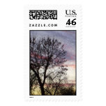 Backyard Sunset Stamps