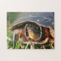 Backyard Turtle Puzzle