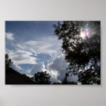 Backyard View Posters