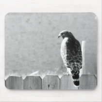 Backyard visitor mousepads