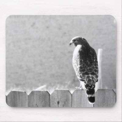 Backyard visitor mouse mat by iiiyaaa