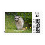 Backyard visitor postage stamp