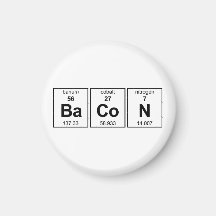 BaCoN Magnet