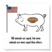 bacon salt nation pig poster posters