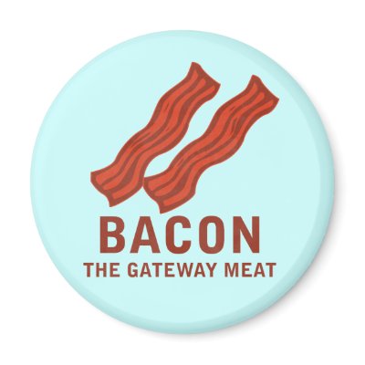 Bacon, The Gateway Meat Fridge Magnet by jamierushad