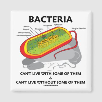 Bacteria Can't Live With Some Of Them Can't Live Refrigerator Magnets