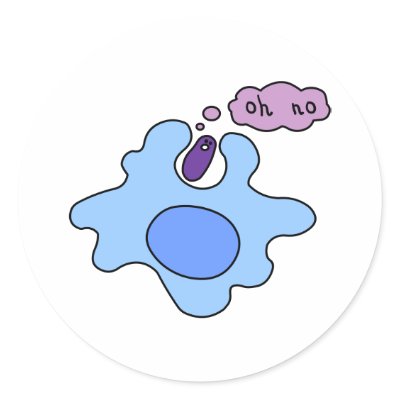Bacteria Phagocytosis Stickers by SuperBug
