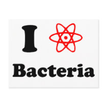 Bacteria Postcard