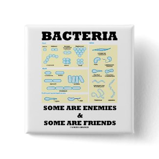 Bacteria Some Are Enemies & Some Are Friends button