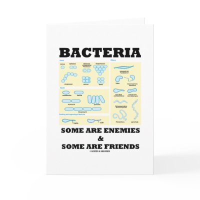 Bacteria Some Are Enemies & Some Are Friends Card by wordsunwords