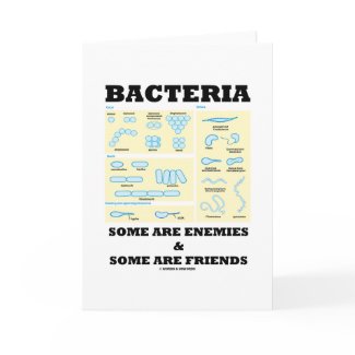 Bacteria Some Are Enemies & Some Are Friends card