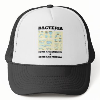 Bacteria Some Are Enemies & Some Are Friends hat