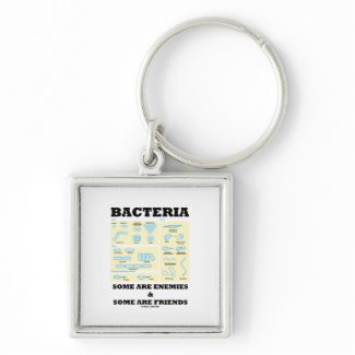 Bacteria Some Are Enemies & Some Are Friends keychain