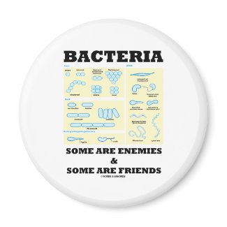Bacteria Some Are Enemies & Some Are Friends magnet