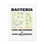 Bacteria Some Are Enemies & Some Are Friends Post Cards