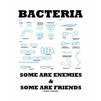 Bacteria Some Are Enemies & Some Are Friends shirt