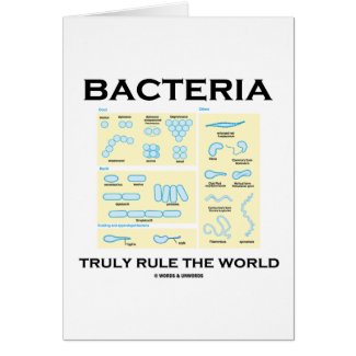 Bacteria Truly Rule The World (Morphology) Cards