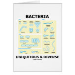 Bacteria Ubiquitous & Diverse (Shapes & Sizes) Cards