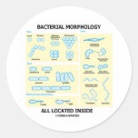 Bacterial Morphology All Located Inside (Bacteria) Sticker