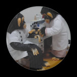 Bacteriologist magnets