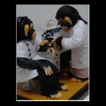 Bacteriologist postcards