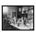 Bacteriology Lab at Howard Univiversity 1900 posters by lc_vintagephotos Bacteriology Lab at Howard Univiversity 1900 posters