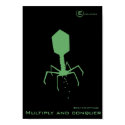 Bacteriophage posters