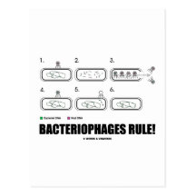 Bacteriophages Rule! (Bacteria Virus DNA) Postcard