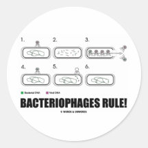 Bacteriophages Rule! (Bacteria Virus DNA) Round Stickers