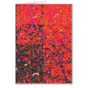 bacterium4 cards