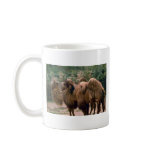 Bactrian Camels Tees and Gifts Coffee Mug