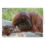 Bad Ape Card