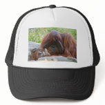 Bad Ape Hats