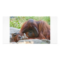 Bad Ape Custom Photo Card