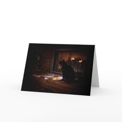 Bad Black Cat Christmas Card by weekbeforenext