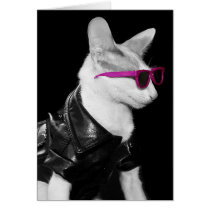 Bad Boy Cat in Shades cards