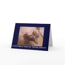 Bad Day Cards