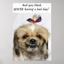 Bad Day Print