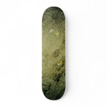 bad dog skateboard